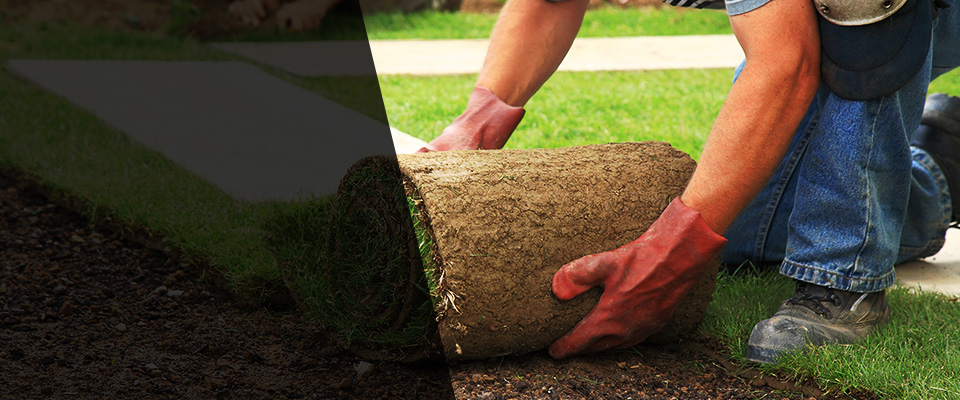 Roscoe Landscapers